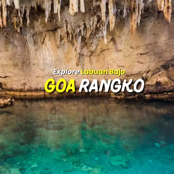 One Day Trip Goa Rangko Labuan Bajo