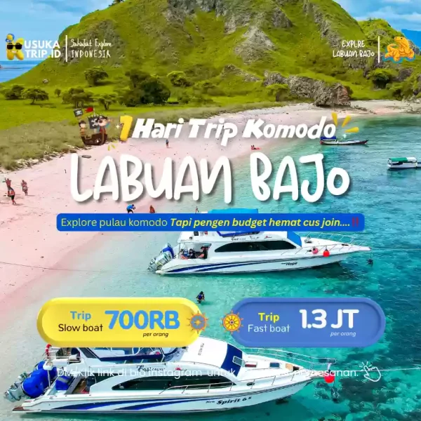 One Day Trip Pulau Komodo By Fastboat/Slowboat