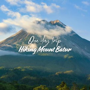 One Day Trip Sekumpul & Baturan Waterfall