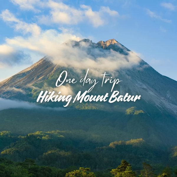 One Day Trip Sekumpul & Baturan Waterfall