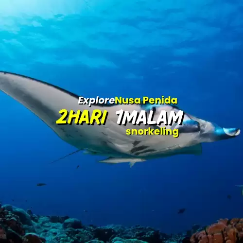 Paket Nusa Penida 2H1M (Snorkeling)